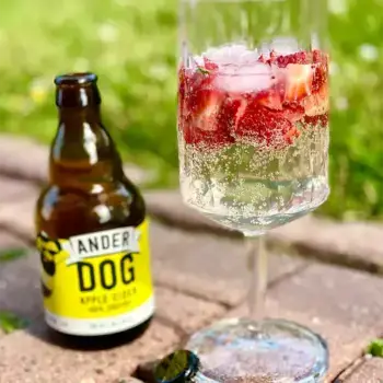 Anderdog-Apple-Cider-Apple-Cider_06-e1760377599714.webp