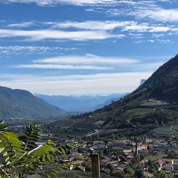 Die Wiederentdeckung des Apfel-Cider in Südtirol